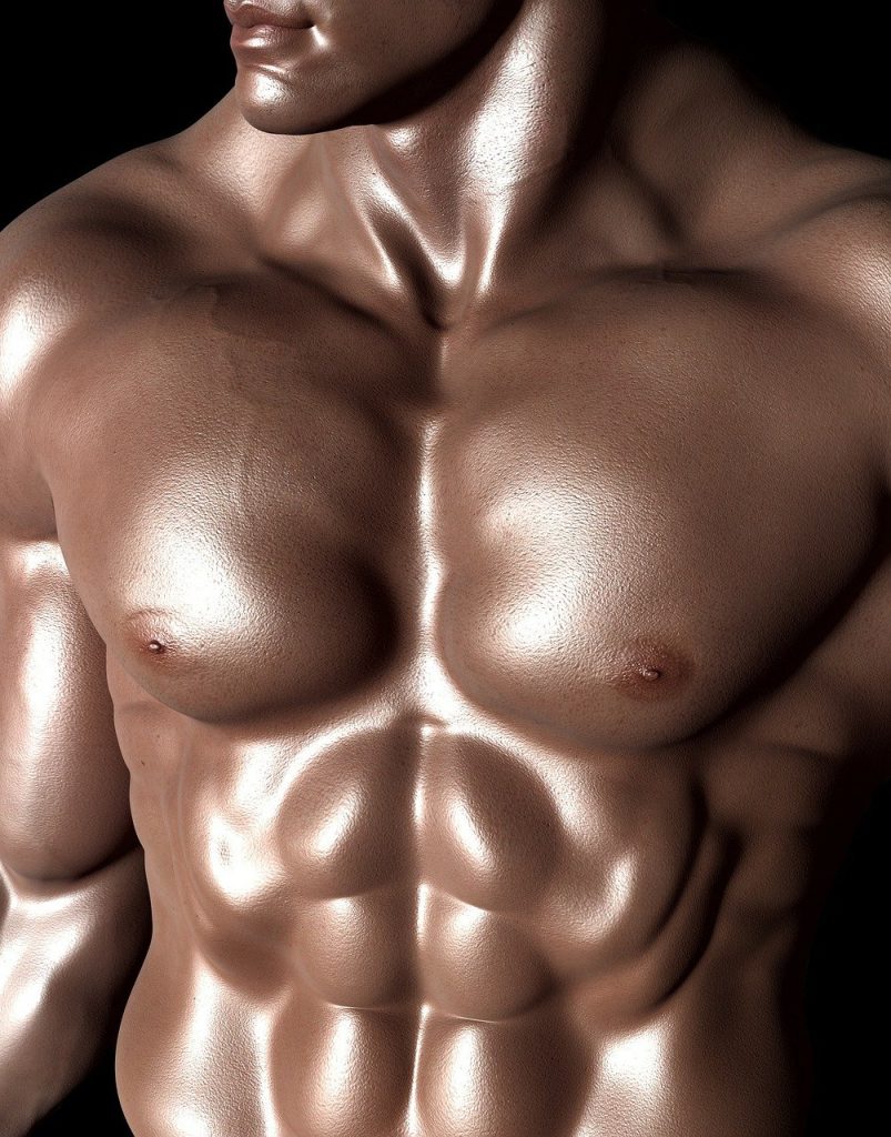 bodybuilder, abs, man, body, six pack, muscles, fit, muscular, brawny, strong, bodybuilder, bodybuilder, bodybuilder, bodybuilder, abs, abs, abs, man, man, man, body, body, body, body, body, six pack, six pack, muscles, muscles, strong